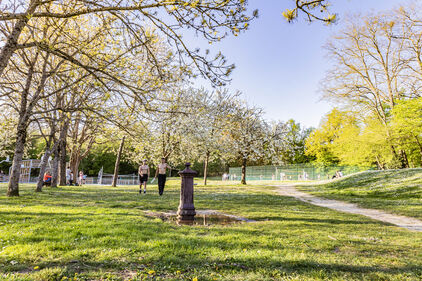 Parc Aubert Végétation du parc aubert
